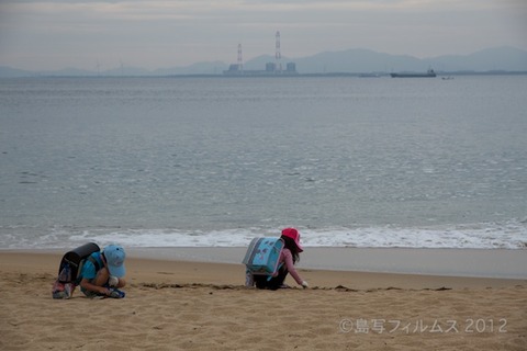 篠島ウミガメ隊_ゴミ拾い_前浜_スナメリ_2012-06-06 07-48-43