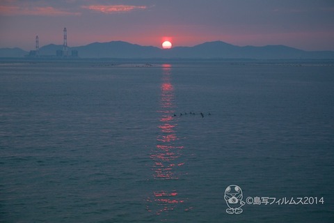 四八会_元旦参り_2014-01-01 07-06-18