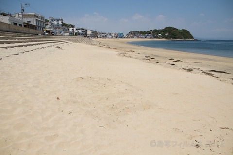 篠島ウミガメ隊_ゴミ拾い_前浜_スナメリ_2012-06-06 12-26-21