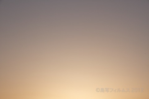 漁港_夕日_篠島_風景_写真_2012-03-21 17-43-20