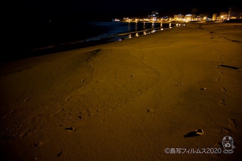 星空を見る会_篠島_2020-10-23 19-36-16