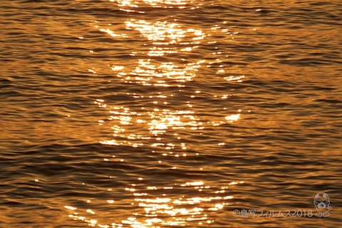松島の夕日_2018-01-16_16-41-54