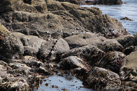 小山島_矢穴石_枕石_棚橋_篠島_風景__2011-05-19 14-03-08