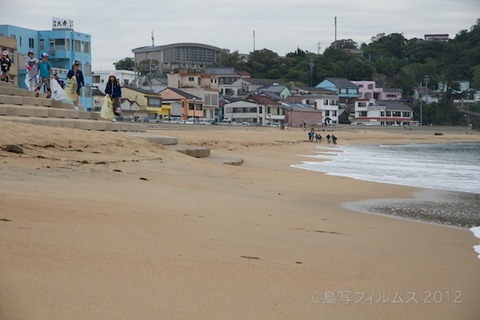 篠島ウミガメ隊_ゴミ拾い_前浜_スナメリ_2012-06-06 07-37-39