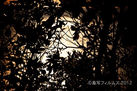 松島の夕日_ 夕陽百選_歌碑公園_2012-01-31 16-29-52
