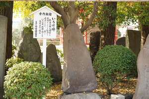A7302460