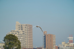 A7303645