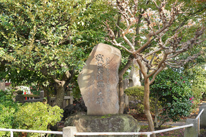 A7302439