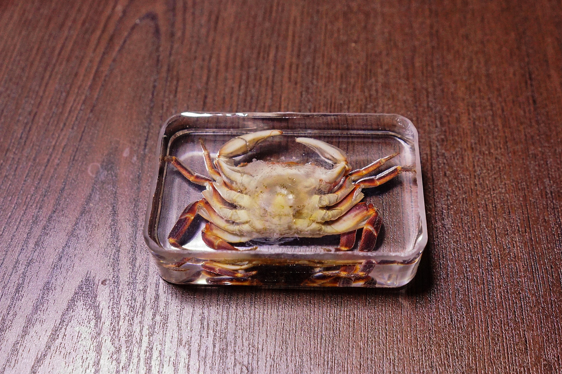 カニの樹脂標本を作りました 趣味の 写真 Diy オーディオ 日記 カニの樹脂標本を作りました 趣味の 写真 Diy オーディオ 日記