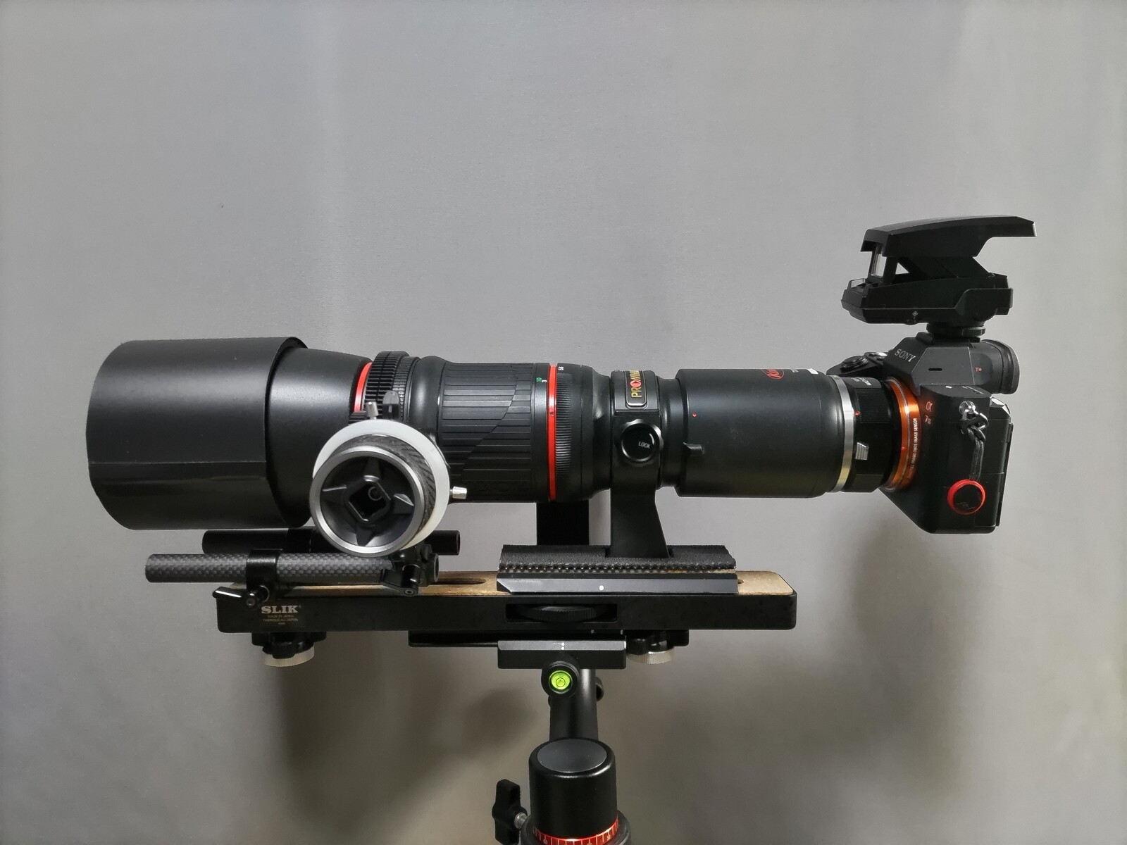 KOWA PROMINAR 500mm F5.6 FL マスターレンズ 」 を使用した望遠 KOWA PROMINAR 500mm F5.6 FL マスターレンズ 」 を使用した望遠