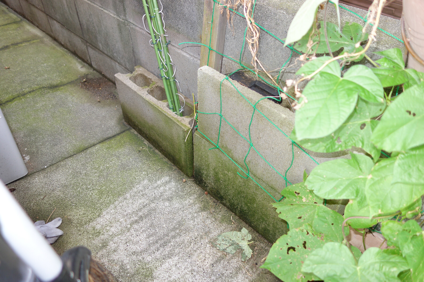 ブロック塀の苔落としにbosch高圧洗浄機を使用することにしました 趣味の 写真 Diy オーディオ 日記