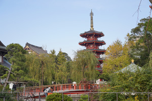 A7302362