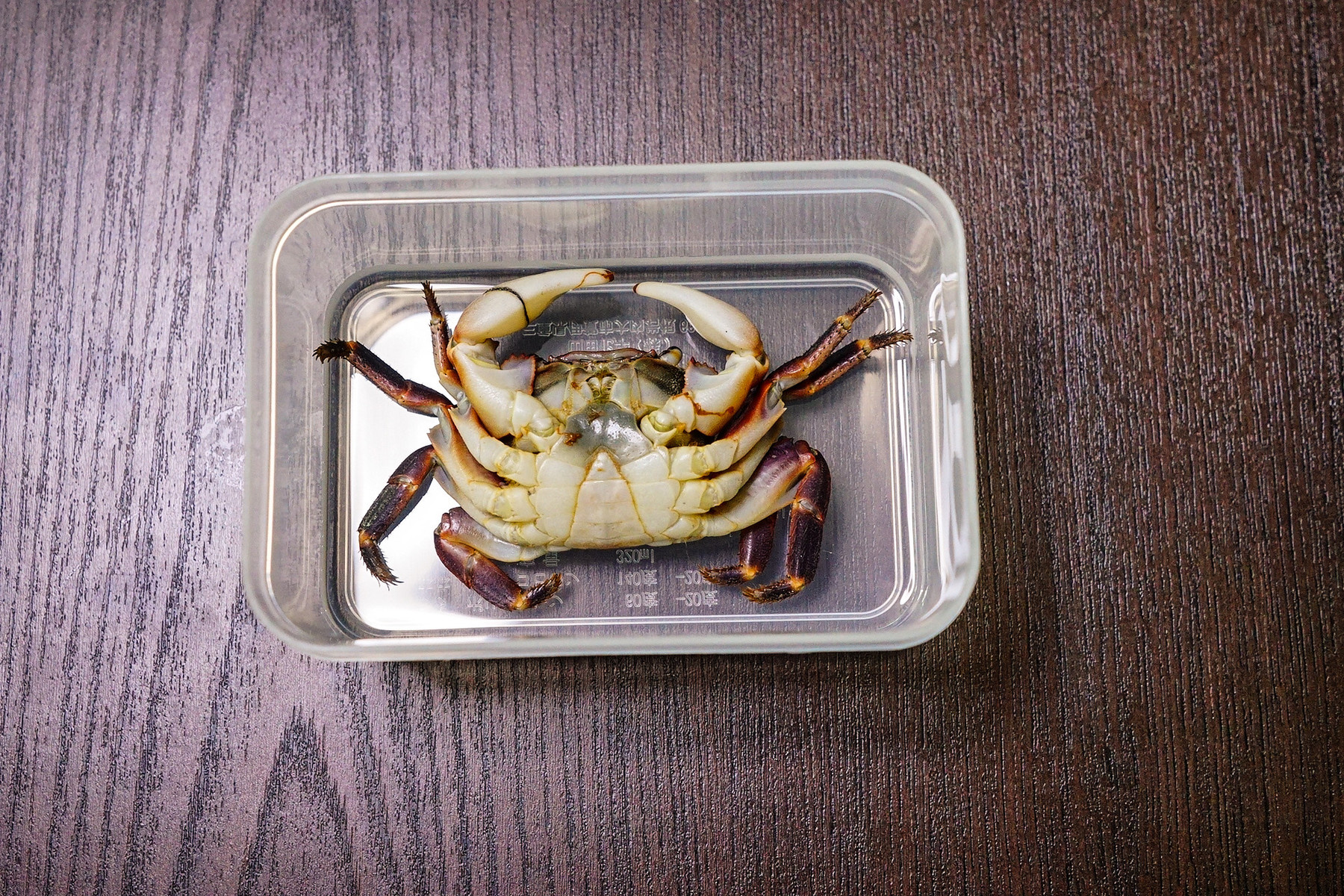 カニの樹脂標本を作りました 趣味の 写真 Diy オーディオ 日記 カニの樹脂標本を作りました 趣味の 写真 Diy オーディオ 日記