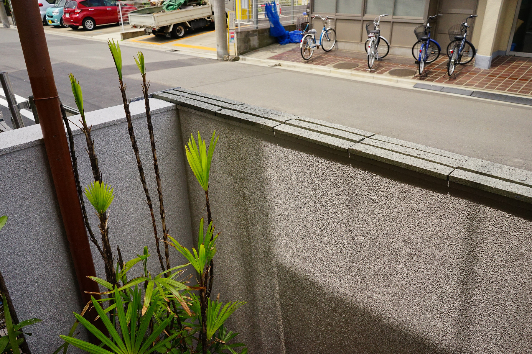 趣味の「写真、DIY、オーディオ」日記 : 外塀