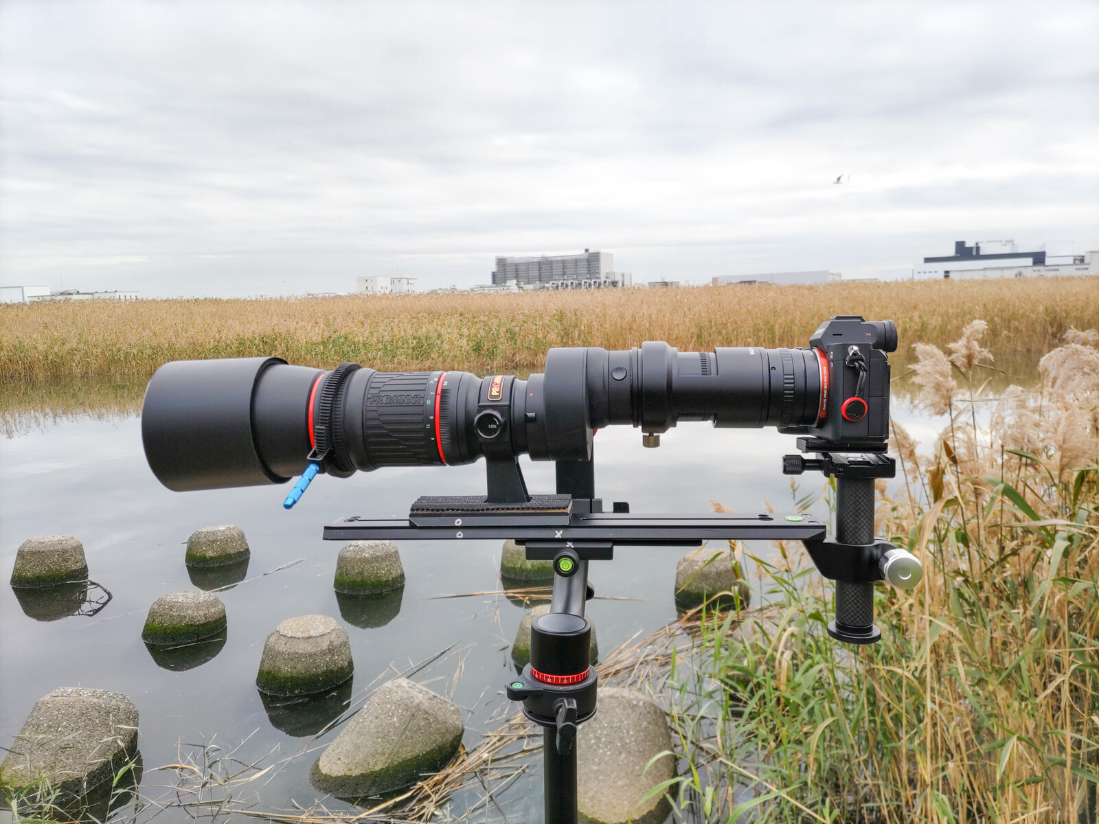 KOWA PROMINAR 500mm F5.6 FL + アイピース TE - 11WZ Ⅱ + KOWA PROMINAR 500mm F5.6 FL + アイピース TE - 11WZ Ⅱ +