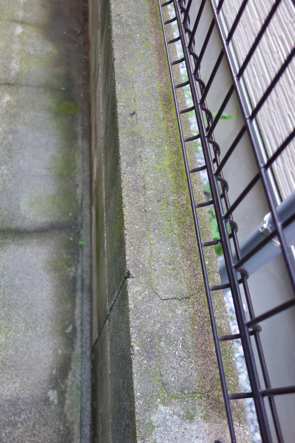 ブロック塀の苔落としにbosch高圧洗浄機を使用することにしました 趣味の 写真 Diy オーディオ 日記