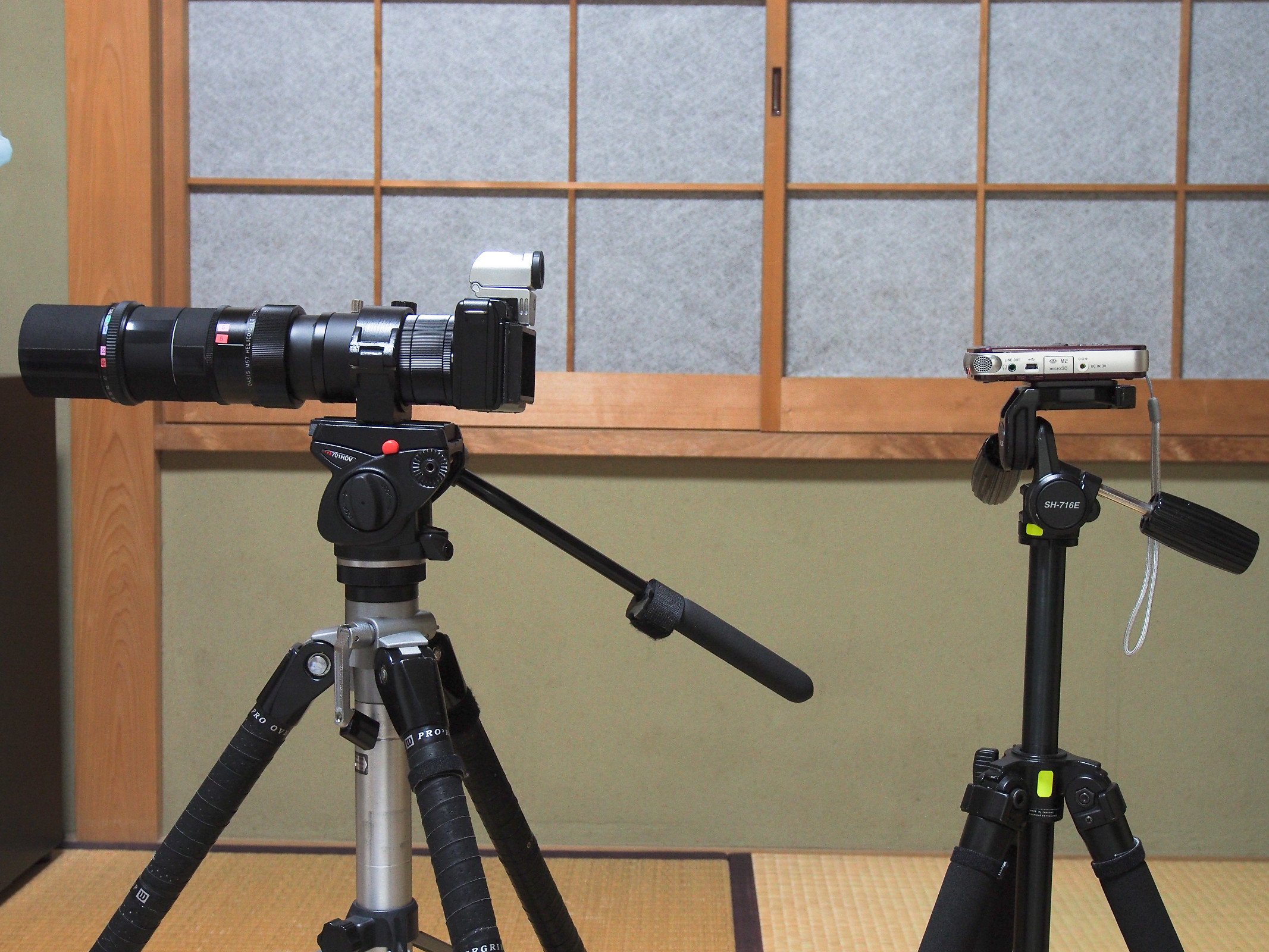 カメラ 趣味 ミラーレス