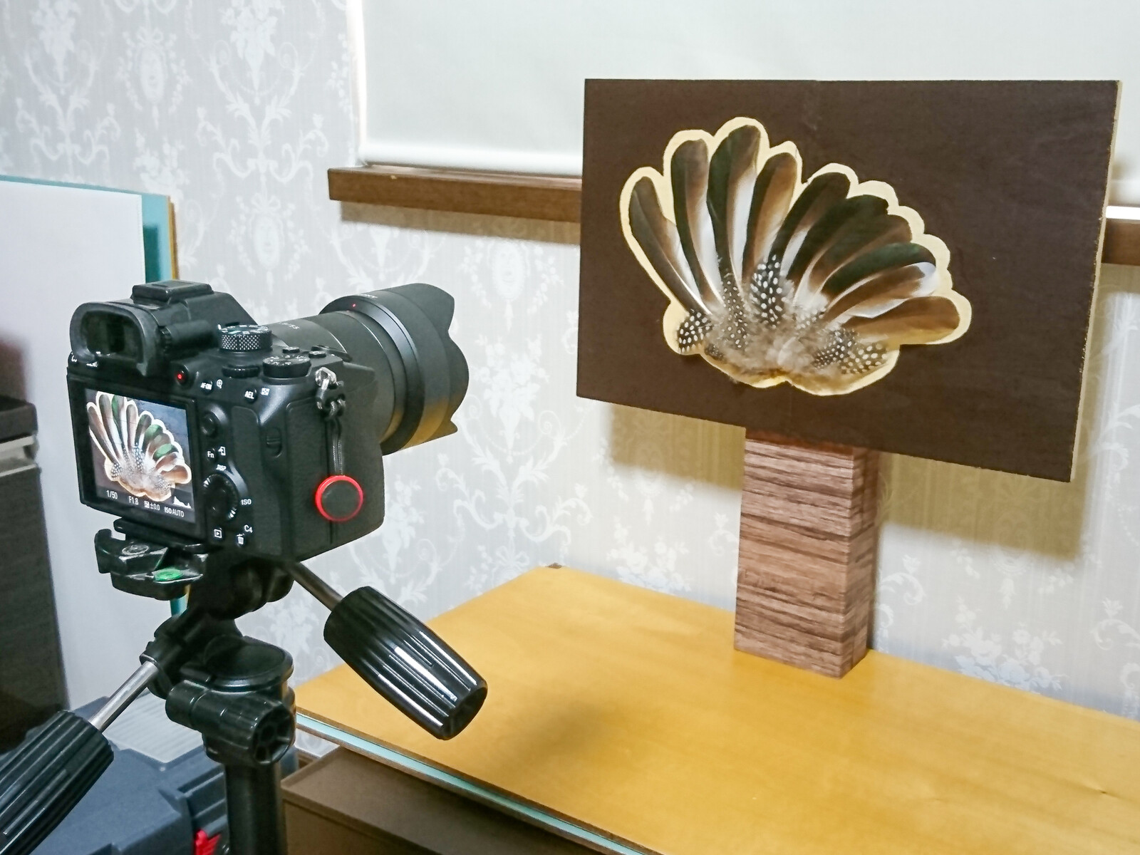 SONY Eマウントレンズ SEL55F18Z のレビュー : 趣味の「写真 SONY Eマウントレンズ SEL55F18Z のレビュー : 趣味の「写真