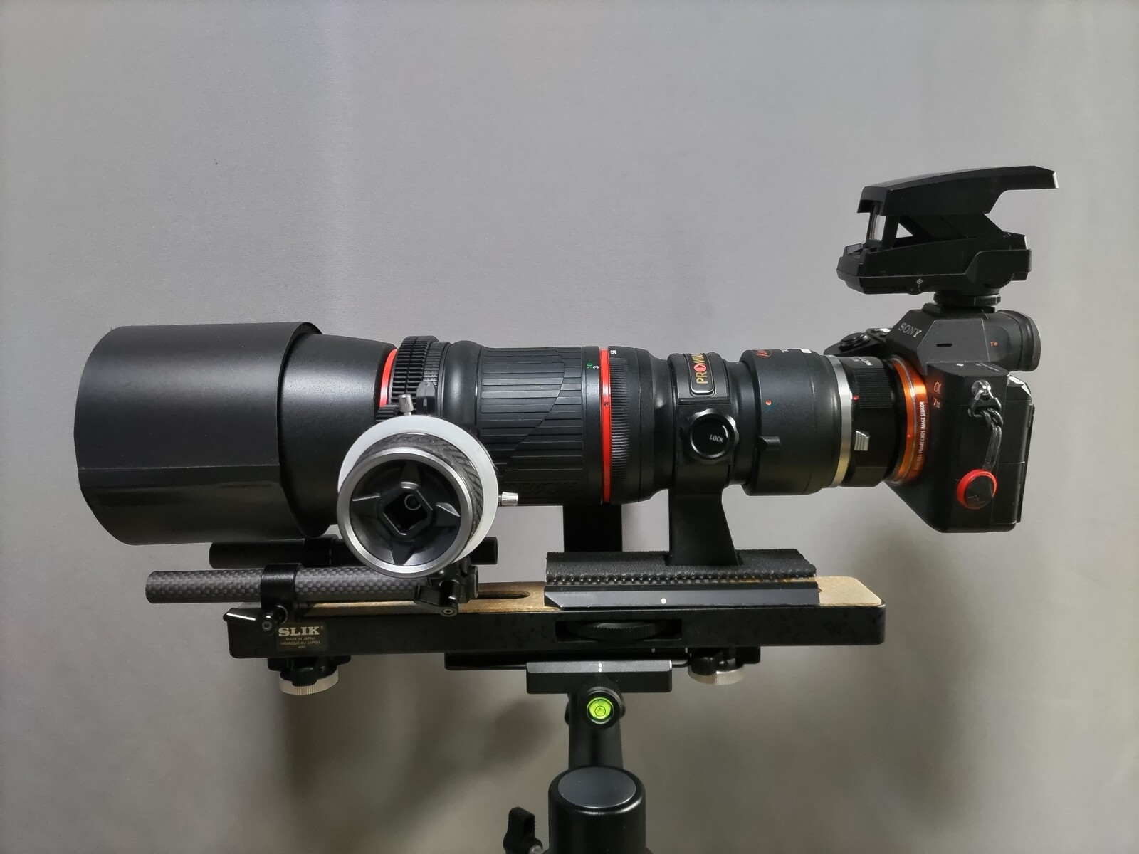KOWA PROMINAR 500mm F5.6 FL マスターレンズ 」 を使用した望遠 KOWA PROMINAR 500mm F5.6 FL マスターレンズ 」 を使用した望遠