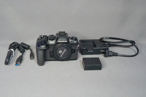 m4/3型 OLYMPUS OM-D E-M1 Mark Ⅱ 」 を購入 : 趣味の「写真、DIY