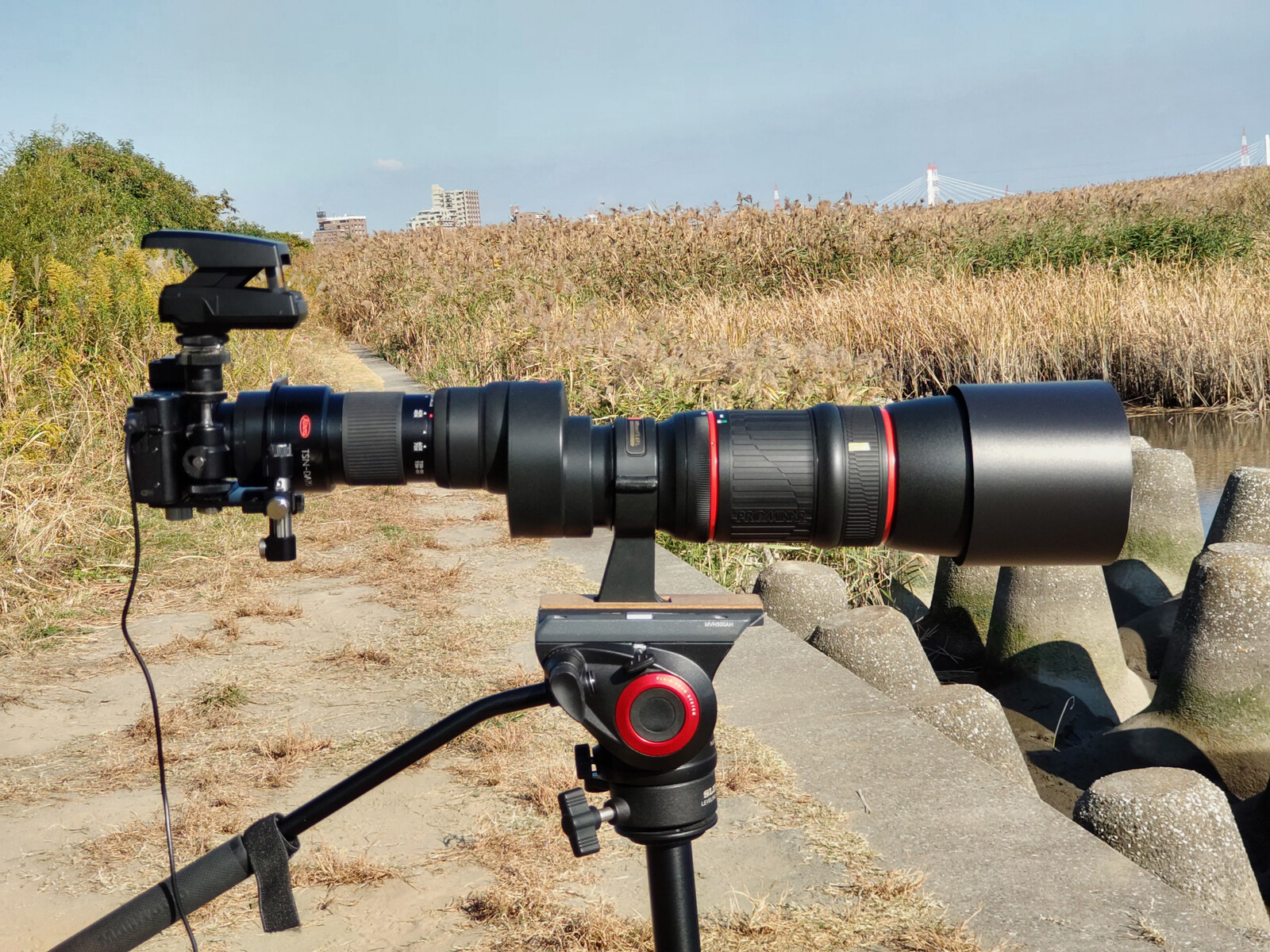 KOWA PROMINAR 500mm F5.6 FL ＋ DSC - RX100M 5 」 デジスコにより