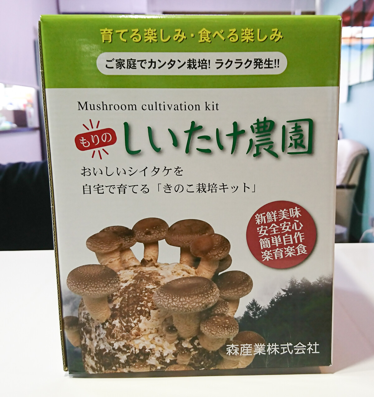 しいたけ栽培キット 「もりのしいたけ農園」 でしいたけを栽培 : 趣味の「写真、DIY、オーディオ」日記 しいたけ栽培キット 「もりのしいたけ農園」 でしいたけを栽培 : 趣味の「写真、DIY、オーディオ」日記