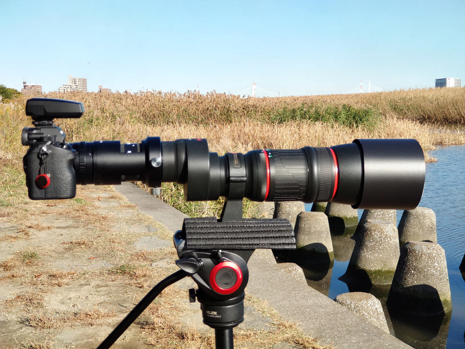 KOWA PROMINAR 500mm F5.6 FL + α 7 Ⅲ 」 デジスコで野鳥を KOWA PROMINAR 500mm F5.6 FL + α 7 Ⅲ 」 デジスコで野鳥を