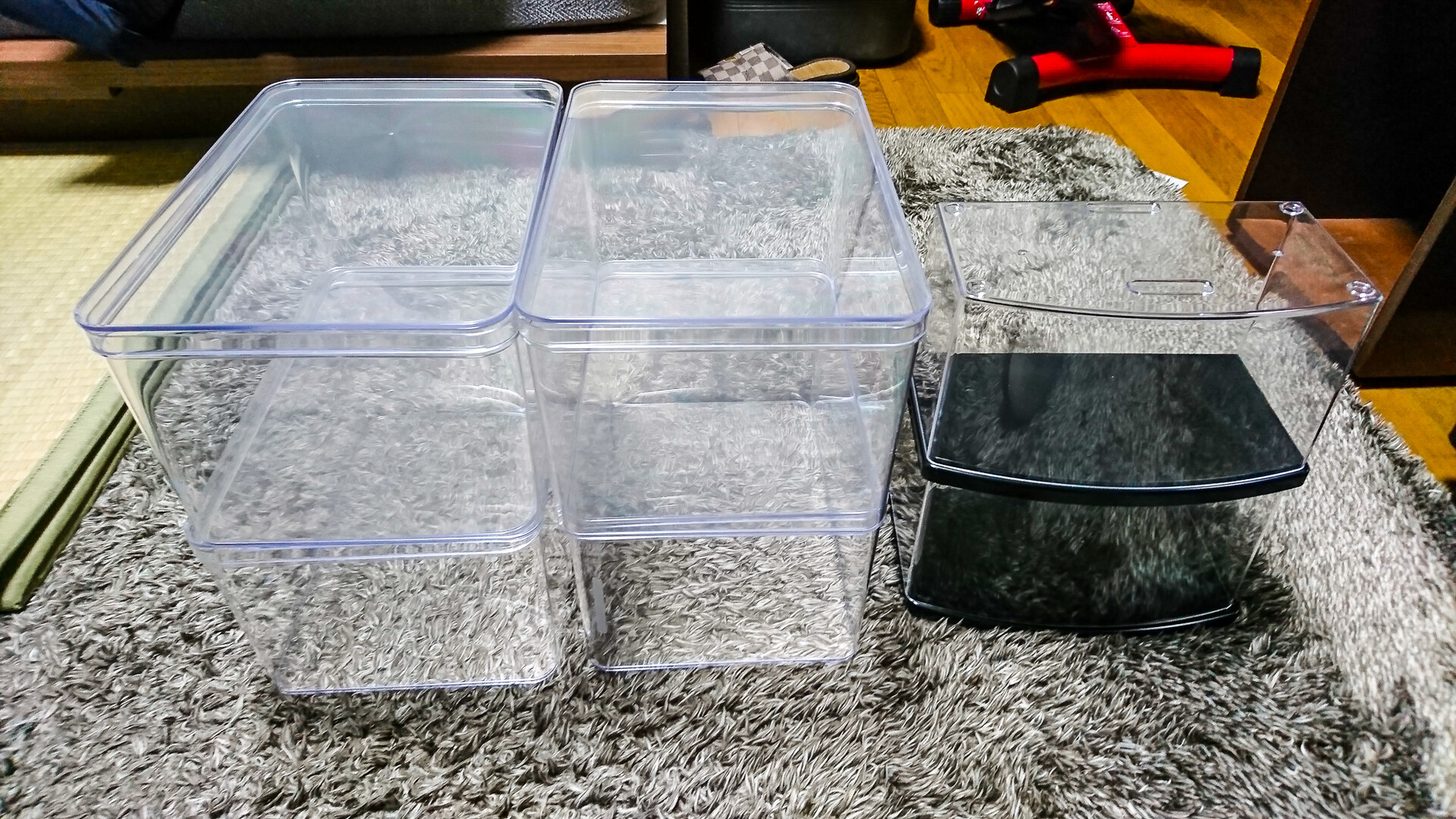 ダイソーでコレクションボックスを購入 : 趣味の「写真、DIY ダイソーでコレクションボックスを購入 : 趣味の「写真、DIY