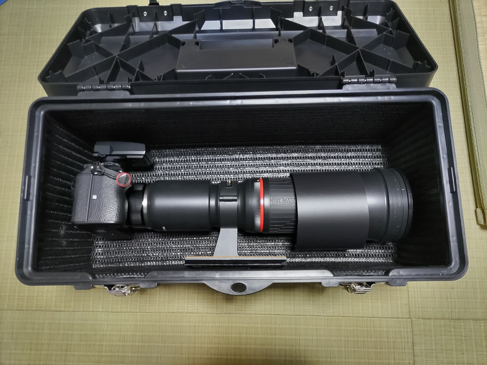 KOWA PROMINAR 500mm F5.6 FL + SONY α 7 Ⅲ 」 で野鳥を撮影 KOWA PROMINAR 500mm F5.6 FL + SONY α 7 Ⅲ 」 で野鳥を撮影