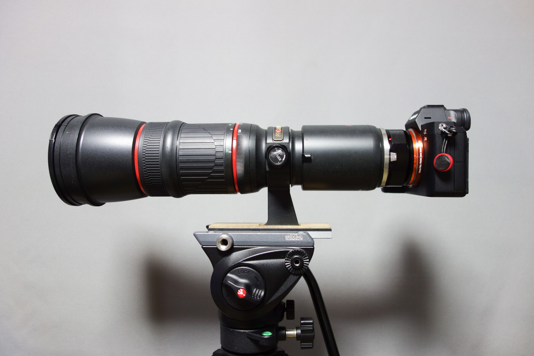 KOWA PROMINAR 500mm F5.6 FL + SONY α 7 Ⅲ 」 の画質を調査 KOWA PROMINAR 500mm F5.6 FL + SONY α 7 Ⅲ 」 の画質を調査