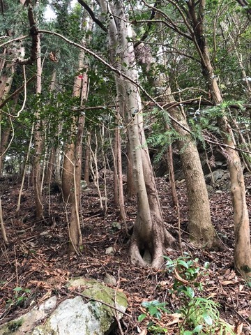 image3