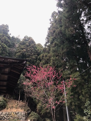 image0