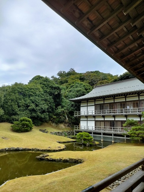 IMG20221022115452
