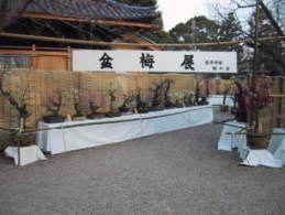 bonbai2[1]