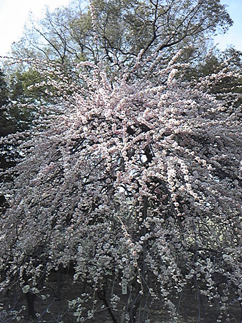 140304_141728