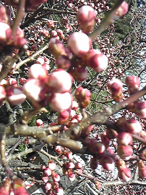 140304_141112