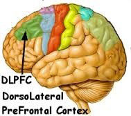 t01890168_0189016813367426195