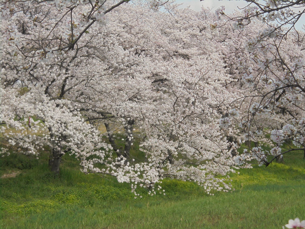 046