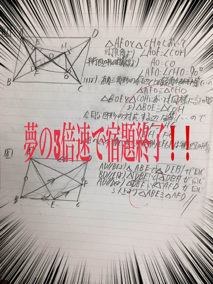 48424655_787152684959660_7269700952750292992_n