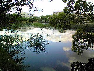 Image7531