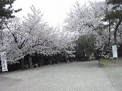 130402_131437
