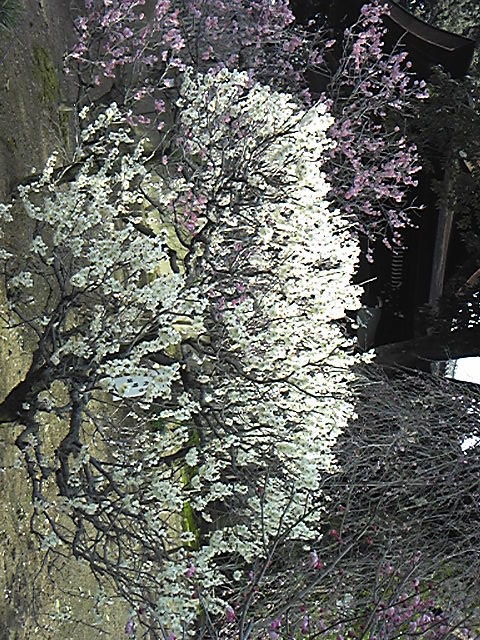 140304_143654