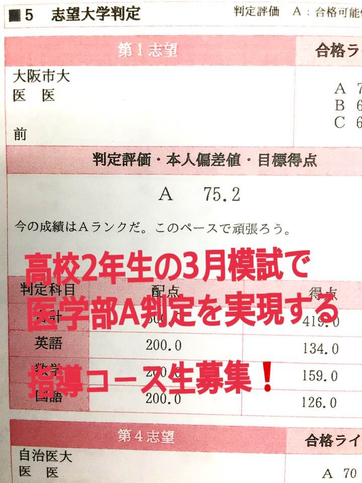 49204889_787861014888827_1190078434915647488_n