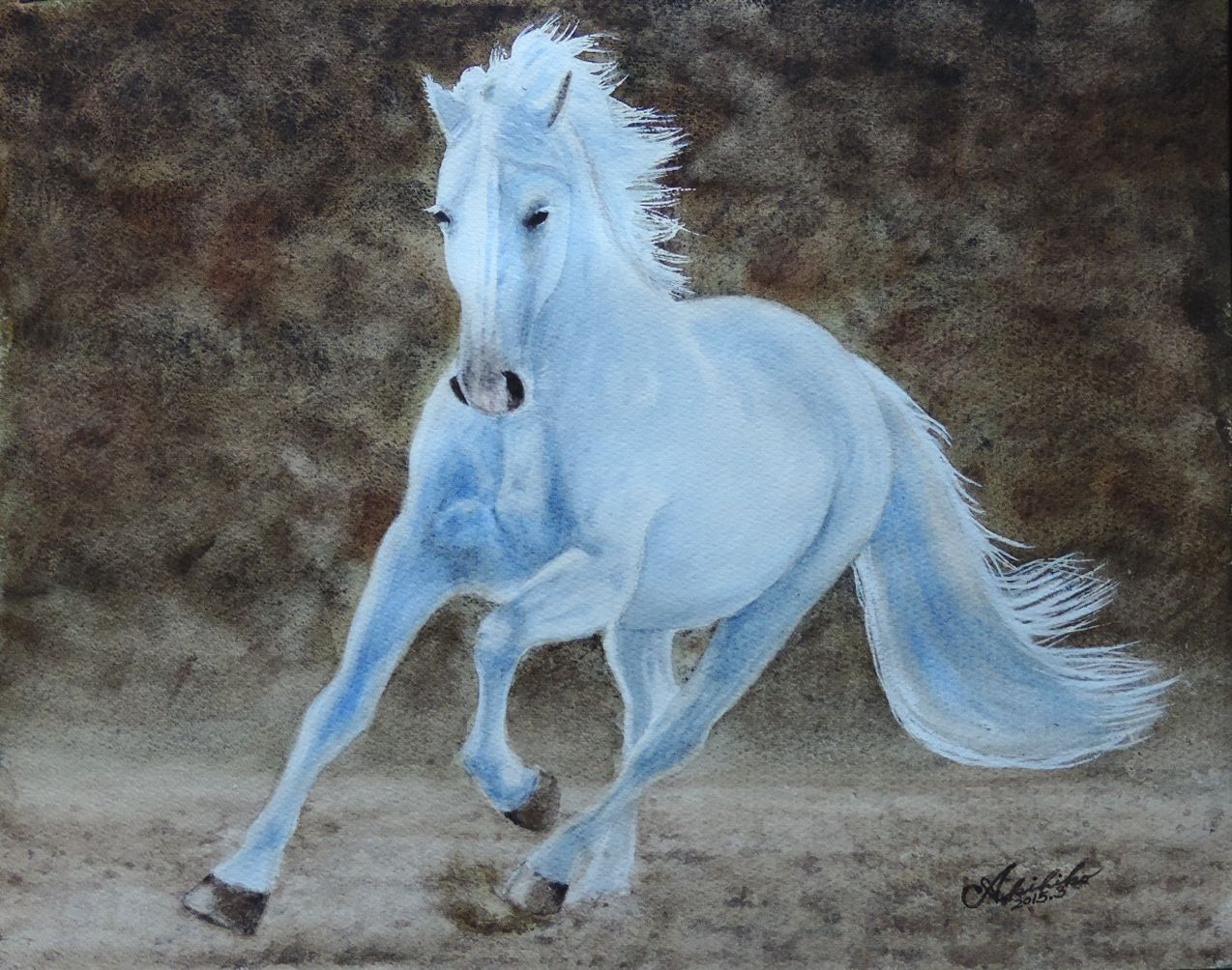 闇に走る白い馬 水彩画工房 四季彩くらぶ