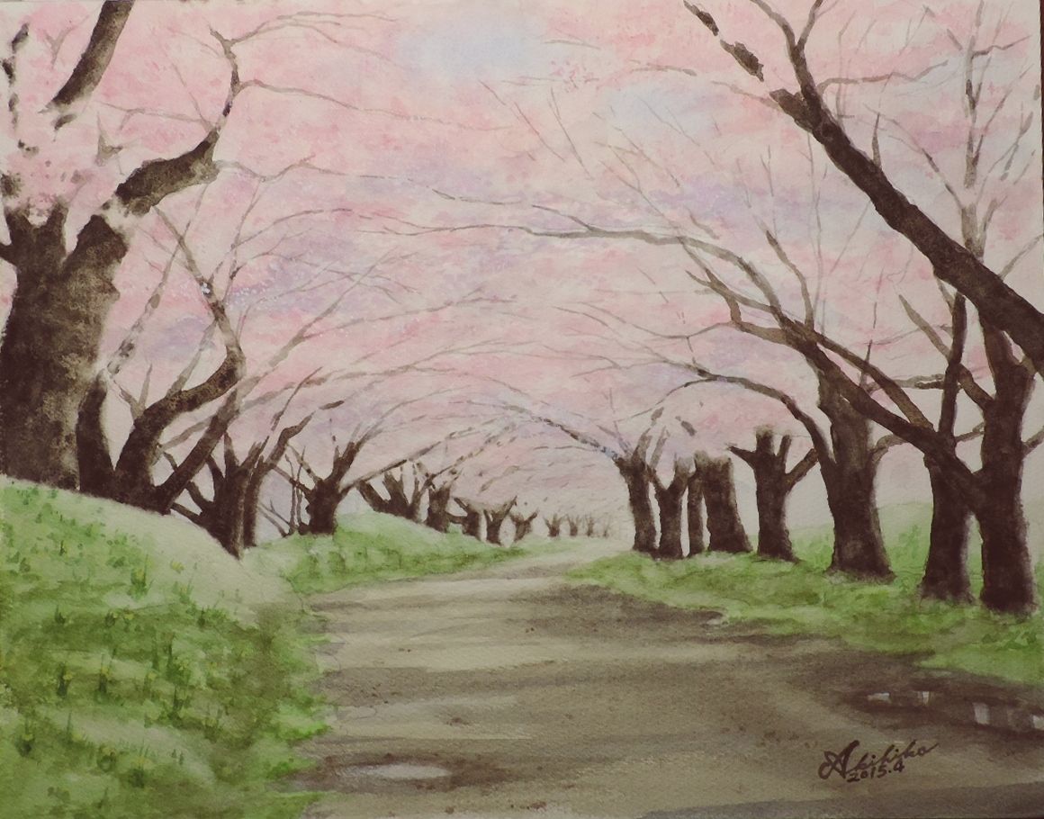 水彩画（原画）桜並木