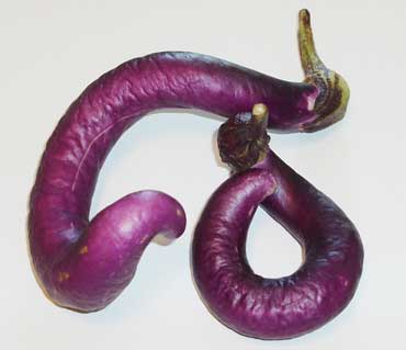 vege_002