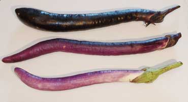 vege_001