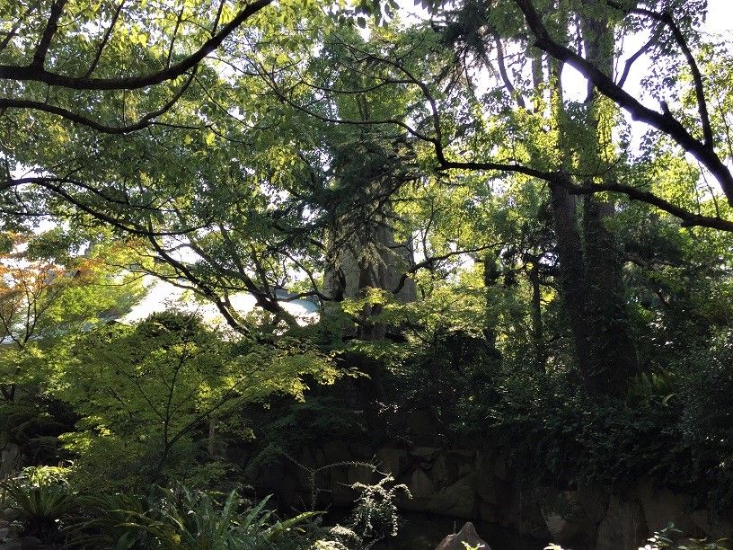 緑006 泉光園 金光教泉尾教会 自転車でお散歩 大阪近郊ポタリング