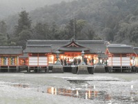 厳島神社の御本殿と平舞台