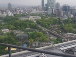 通天閣からの天王寺動物園